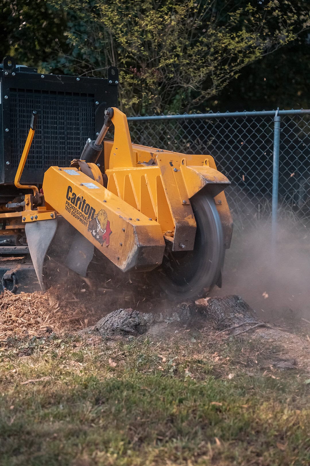 Stump Grinding