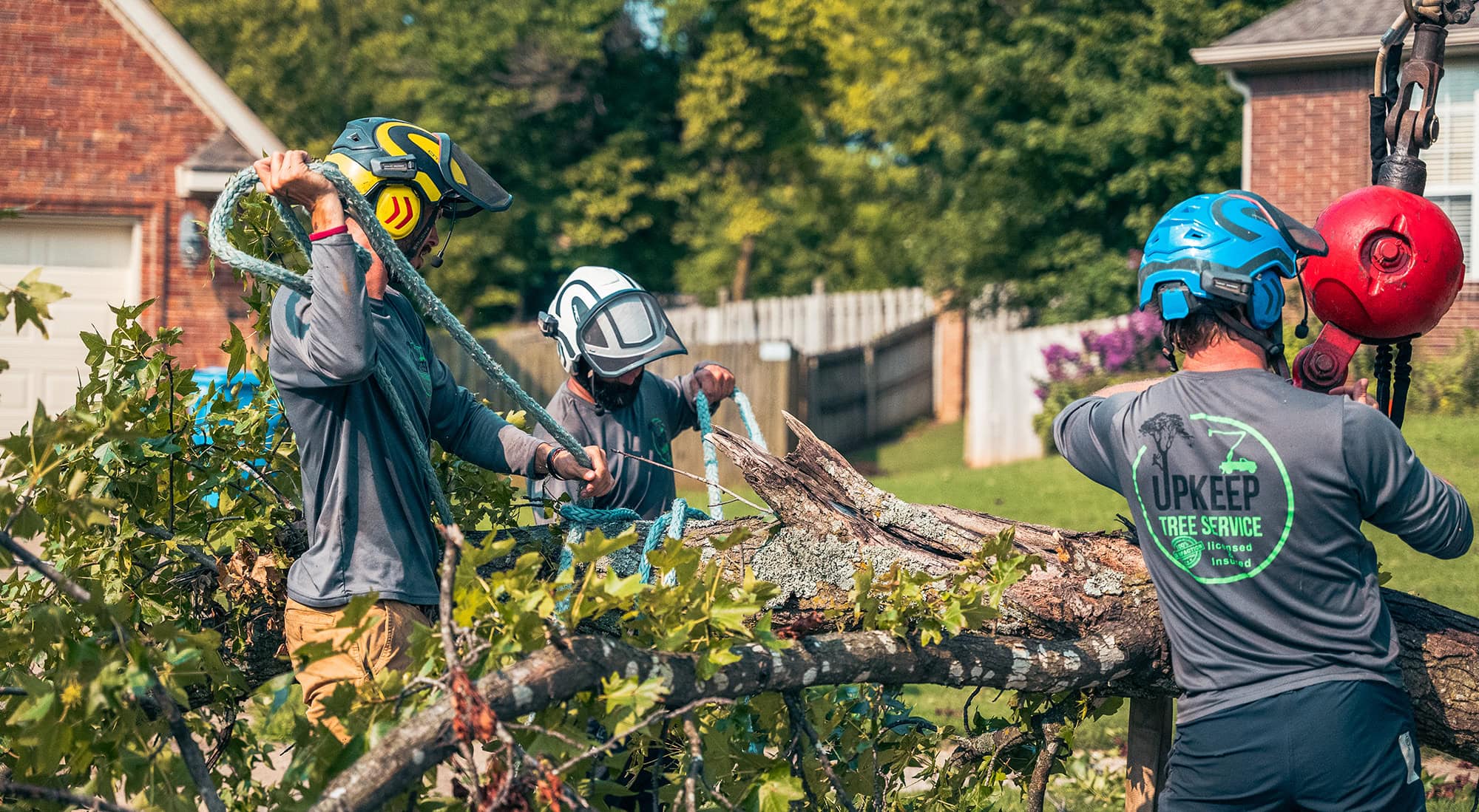 Upkeep Tree Service Crew removing a tree.