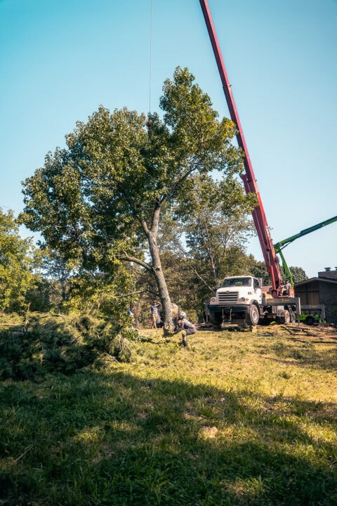 Upkeep Tree Service